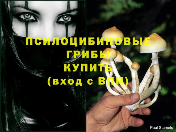 соль курить ск Белокуриха